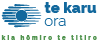 Eye Institute | Laser Eye Surgery and Eye Health Logo